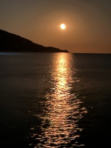 IMG_2898