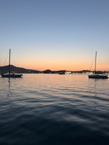 IMG_3196