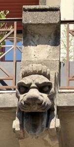 IMG_3312