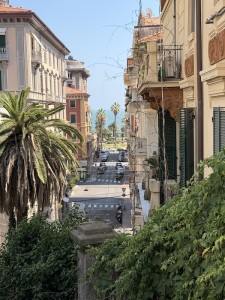 IMG_3313