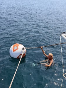 IMG_3494